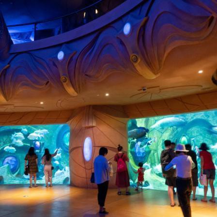 帕里水族店，帕里水族店有哪些特色