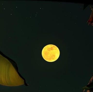 阿里水族店，開設阿里水族店綜合分析與經營方案