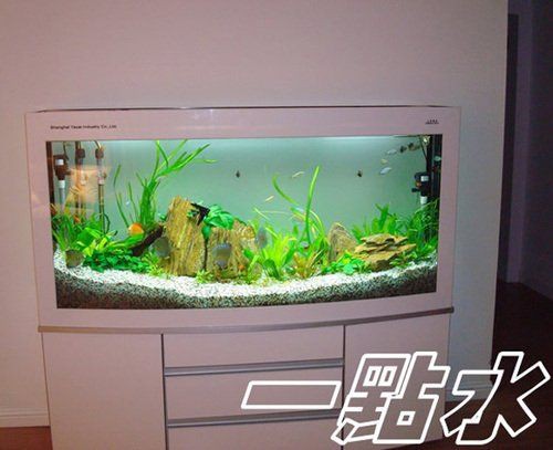 蕪湖魚缸定做，蕪湖一點水水族景觀工程