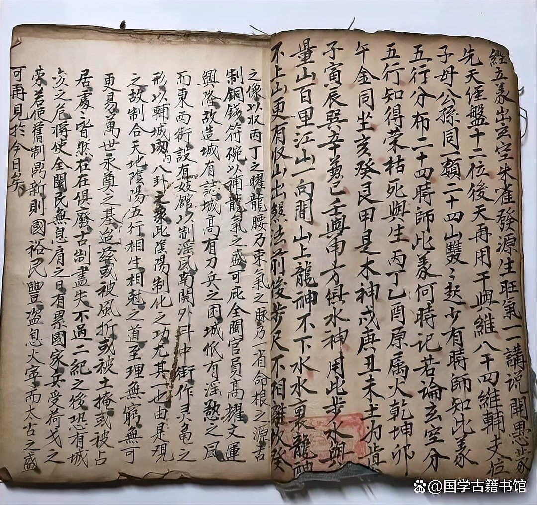 《風水青龍》的主要內容是什么？，《風水青龍》聚焦于中國傳統風水文化中極具神秘色彩的“青龍”概念