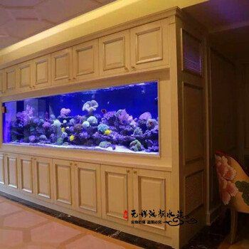 泰州魚缸定做，泰州大型觀賞魚缸定制