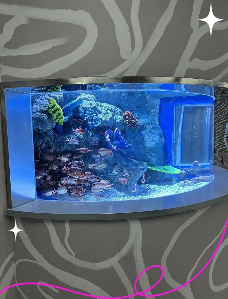 香港魚缸定做，香港海鮮池魚缸定做