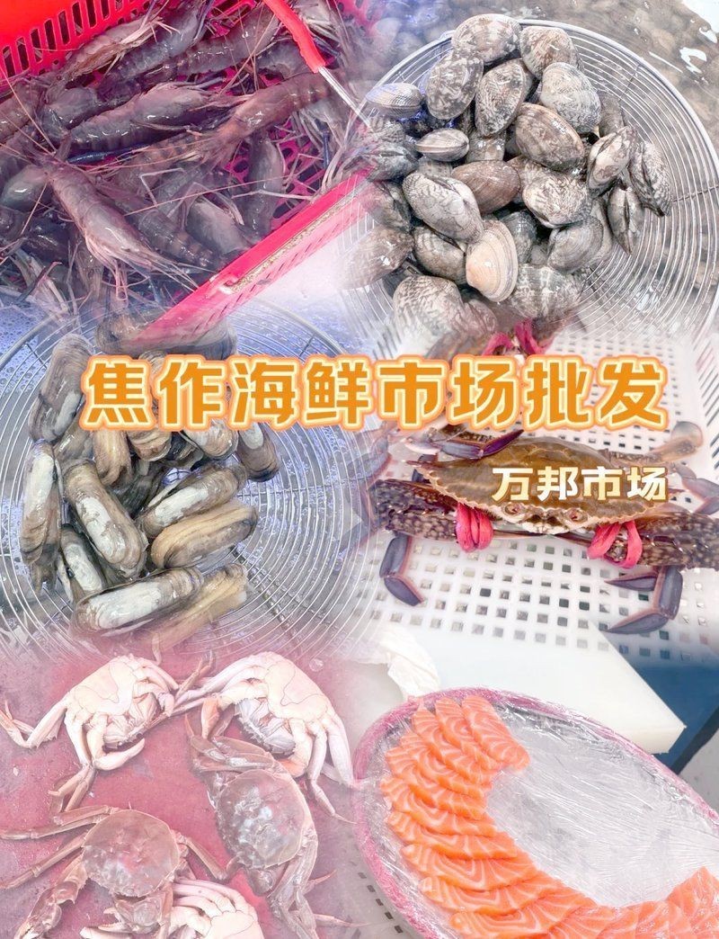 焦作水族批發市場，焦作市山陽區誠信水族店jiaozuo037819.11467