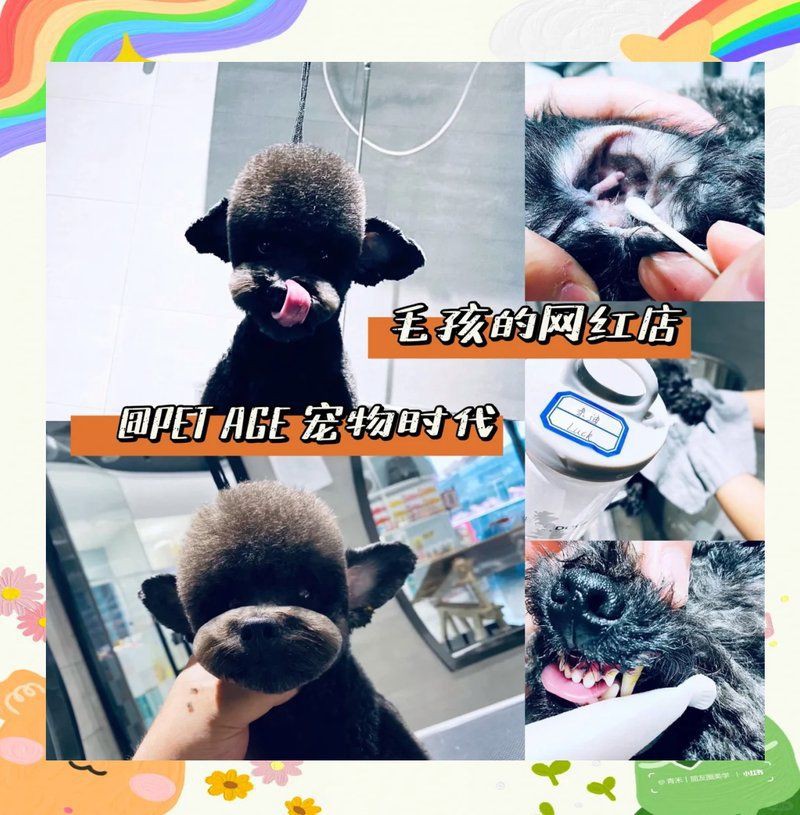 邯鄲魚缸店，邯鄲開發區好運來生態魚缸專賣店 邯鄲魚缸店，邯鄲開發區好運來生態魚缸專賣店 全國水族館企業名錄 第4張