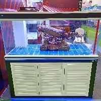 濮陽魚缸定做，濮陽地區的魚缸定做服務日益專業化與多樣化與多樣化