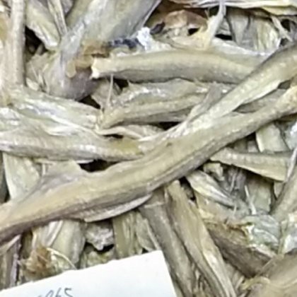 哪里可以查詢紅龍魚實(shí)時(shí)行情？，紅龍魚的市場(chǎng)價(jià)格波動(dòng)大嗎？