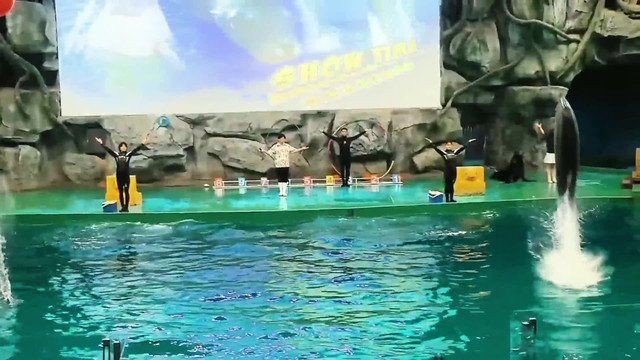威海水族館，親子游學的絕佳處所——威海
