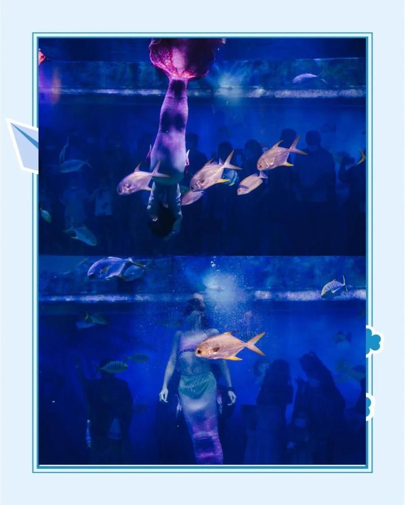 威海水族館，親子游學的絕佳處所——威海