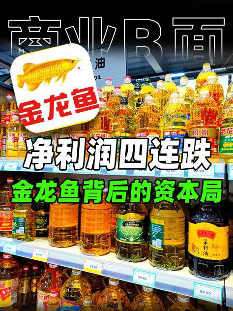 古典金龍魚的市場趨勢如何？，古典金龍魚市場前景廣闊