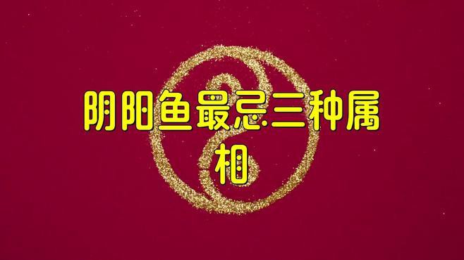 哪些生肖的人不適合養龍魚？，哪些生肖不適合養龍魚？