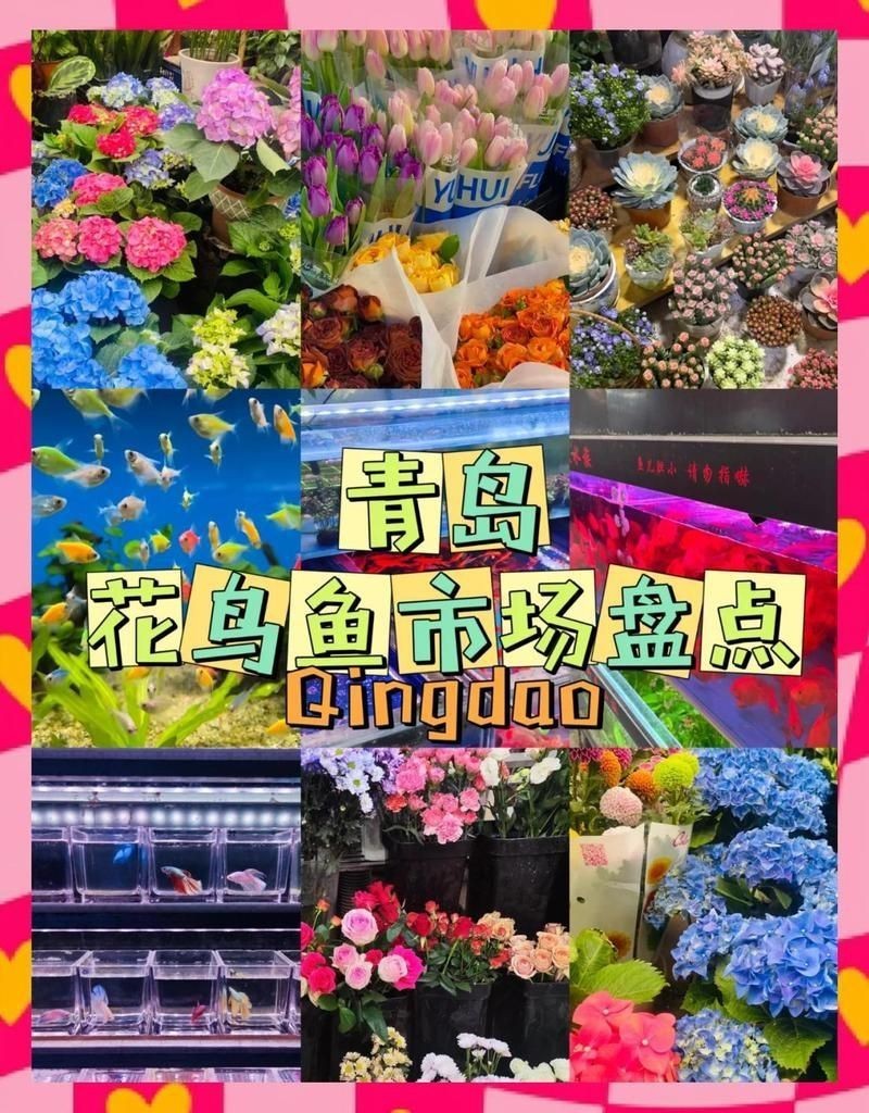 青島魚(yú)缸批發(fā)市場(chǎng)，加盟星山東魚(yú)缸批發(fā)市場(chǎng)大揭秘:進(jìn)貨秘籍,創(chuàng)業(yè)路上不容錯(cuò)過(guò)