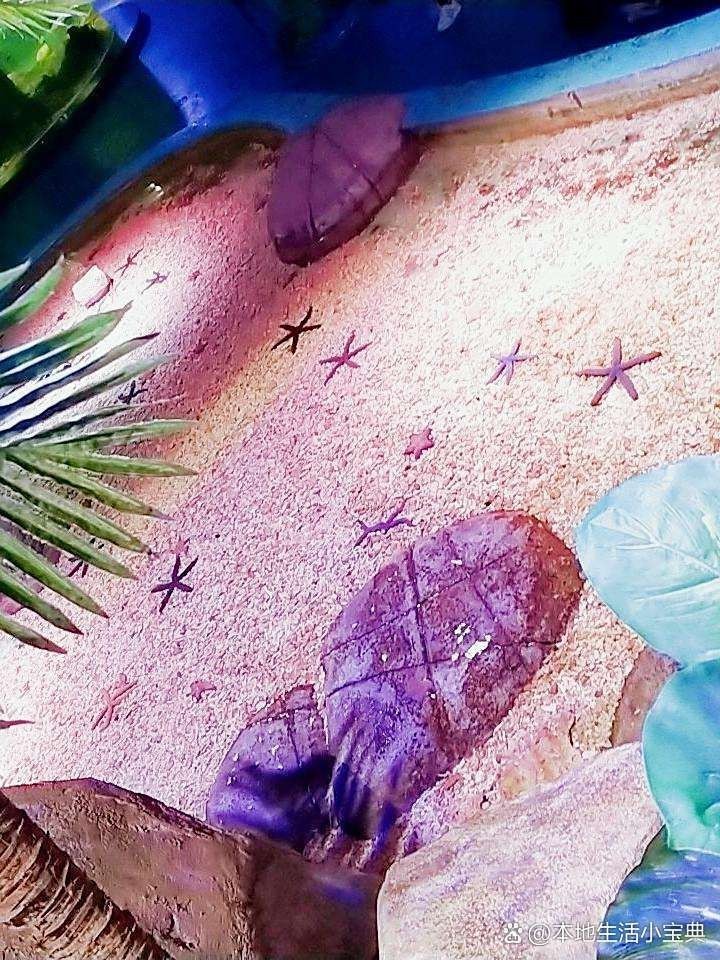 臨沂河東水族店，臨沂市河東區主要水族店綜合信息