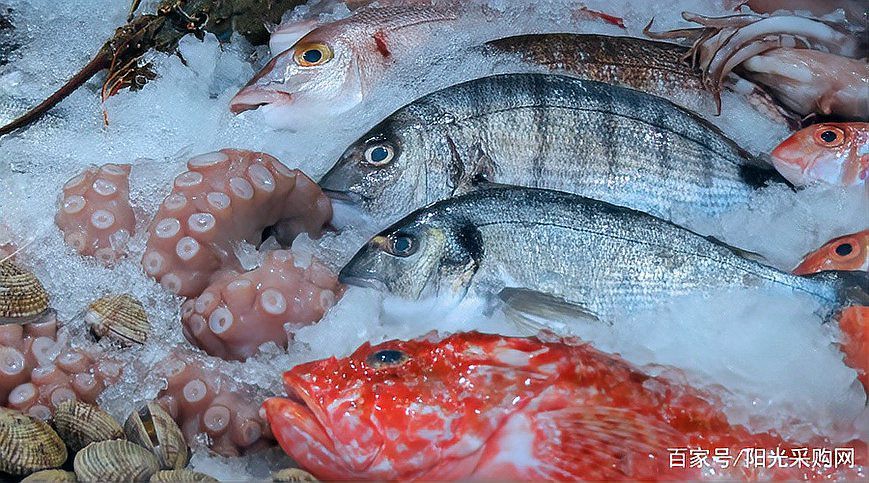 如何判斷福龍魚是否新鮮？，_生活百科】選購淡水鮮魚有妙招
