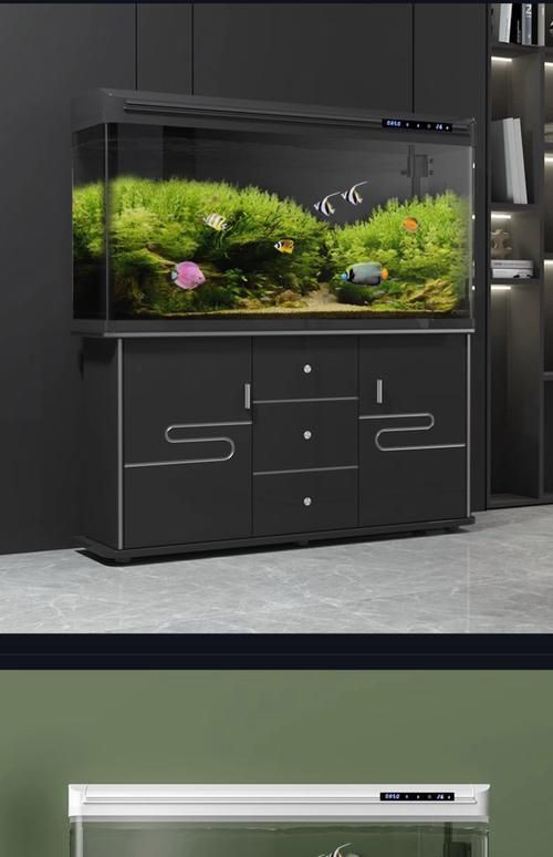 各種魚缸圖片，6種絕美魚缸造景全攻略6種絕美魚缸造景全攻略