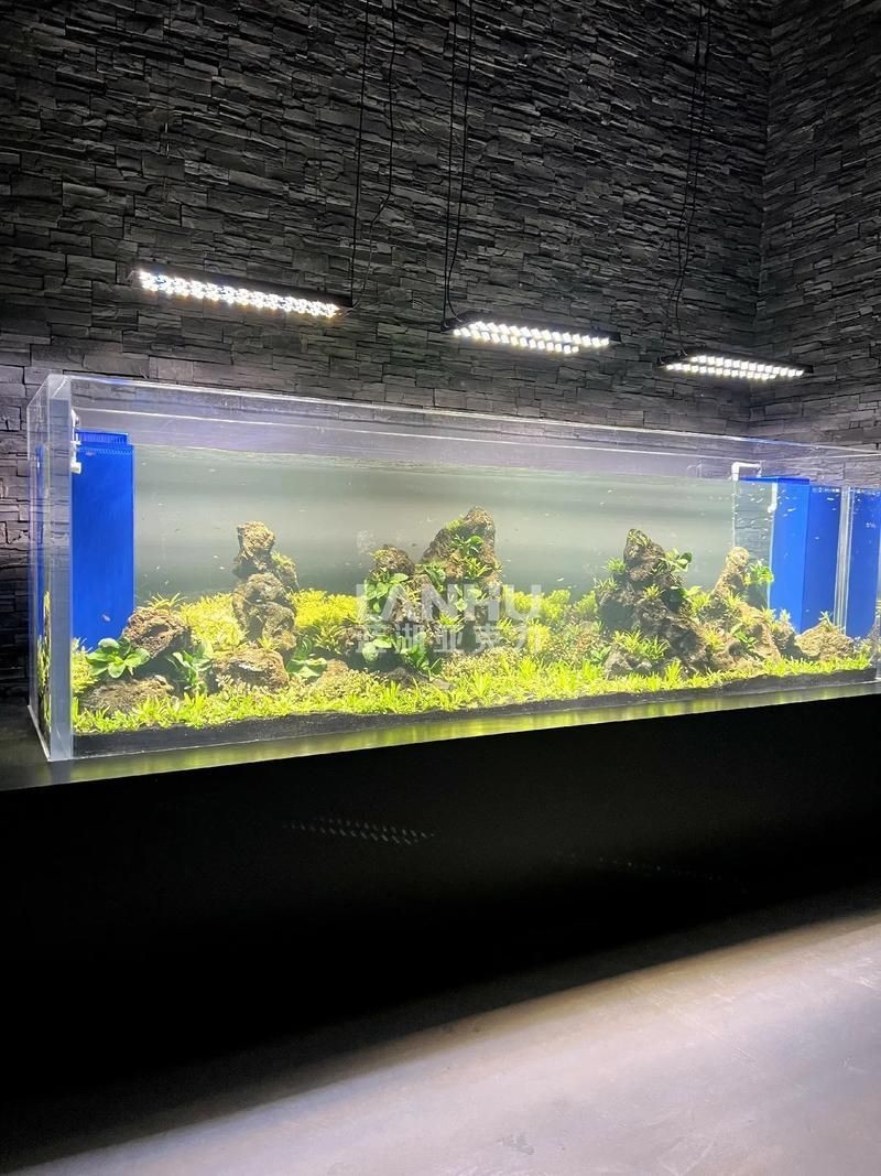 各種魚缸圖片，6種絕美魚缸造景全攻略6種絕美魚缸造景全攻略