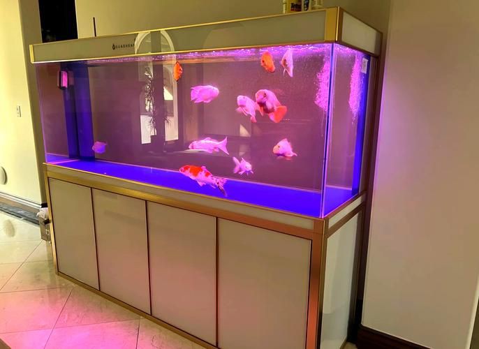 各種魚缸圖片，6種絕美魚缸造景全攻略6種絕美魚缸造景全攻略