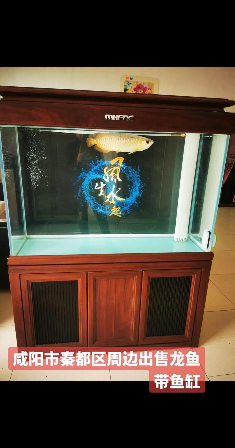 各種魚缸圖片，6種絕美魚缸造景全攻略6種絕美魚缸造景全攻略