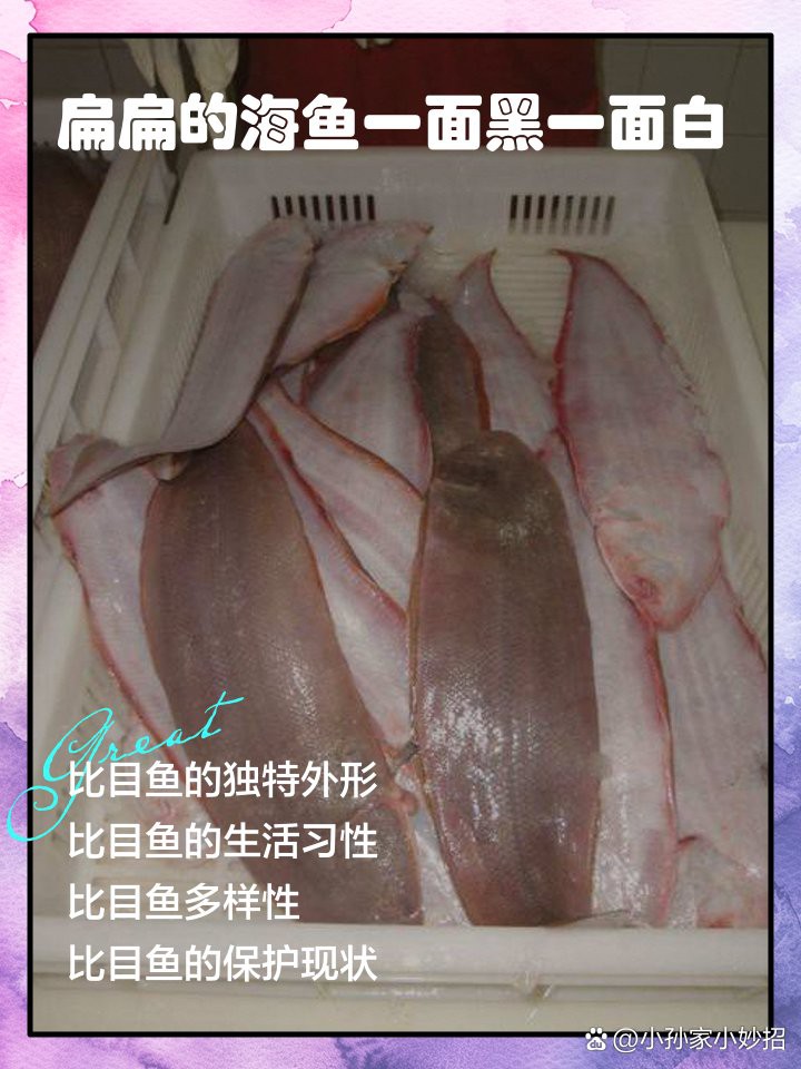 什么魚一面白一面黑，———一面白一面白一面白關刀魚