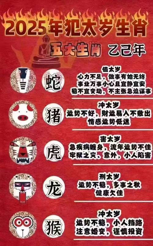 五行龍的選擇有哪些禁忌？，《五行龍的選擇禁忌》