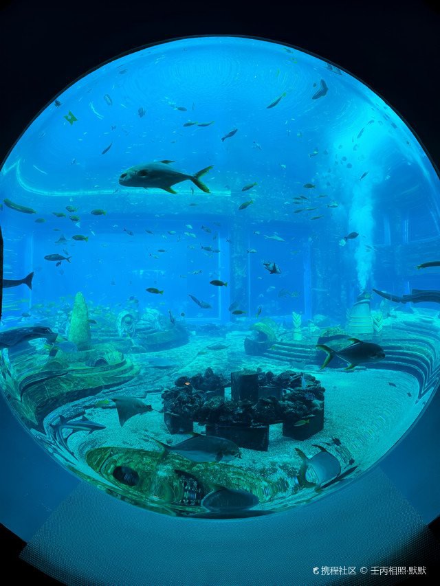 三亞水族店，三亞亞特蘭蒂斯失落的空間水族館
