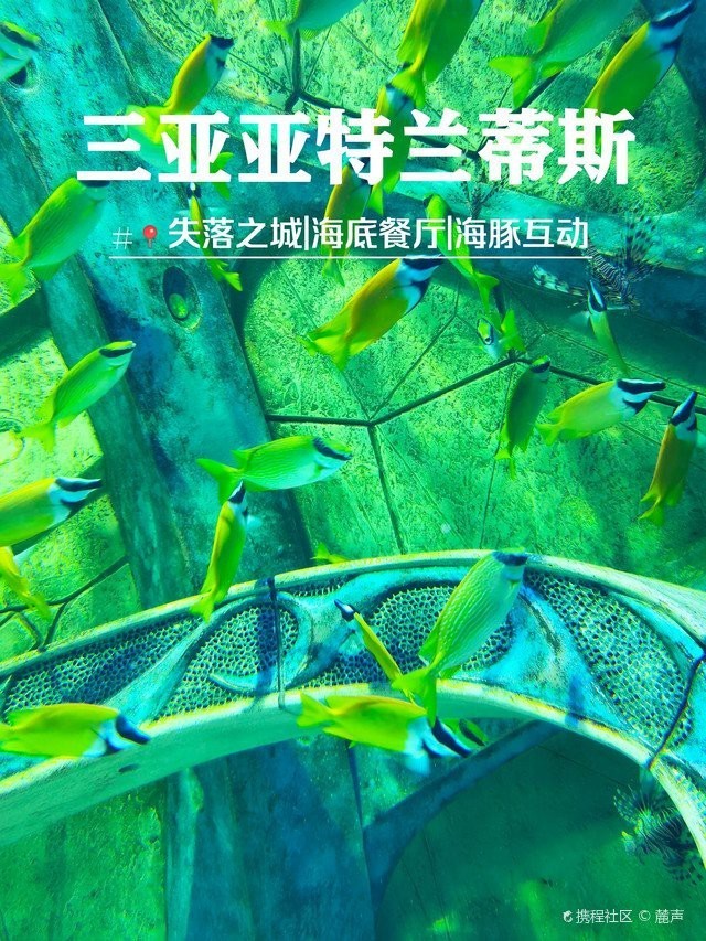 三亞水族店，三亞亞特蘭蒂斯失落的空間水族館