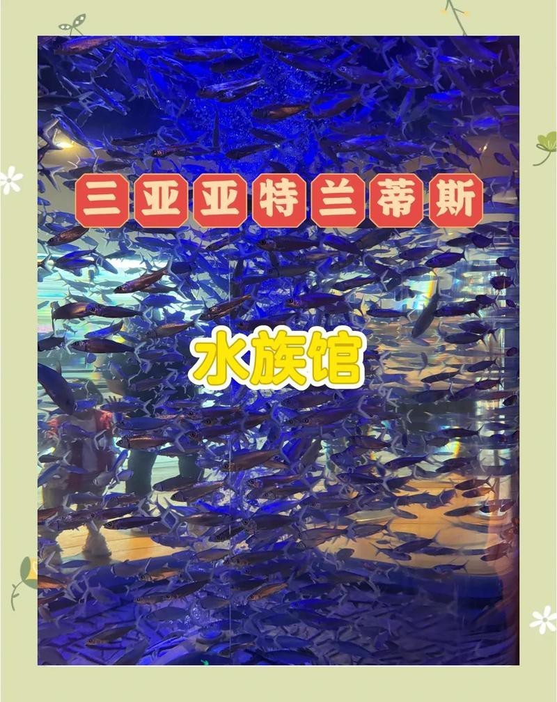 三亞水族店，三亞亞特蘭蒂斯失落的空間水族館