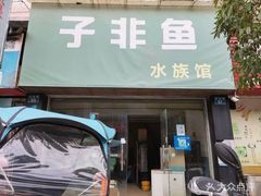 宜豐水族店，宜豐縣有哪些水族店？ 宜豐水族店，宜豐縣有哪些水族店？ 全國水族館企業名錄 第1張