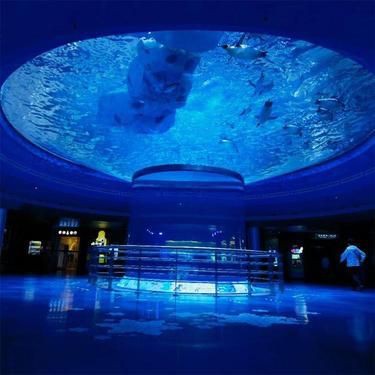 鷹潭魚缸定做，鷹潭地區魚缸定做