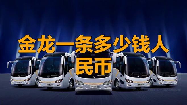 古典過背金龍魚的市場價格范圍，古典過背金龍魚價格大揭秘，幾百元就能買到高品質編輯