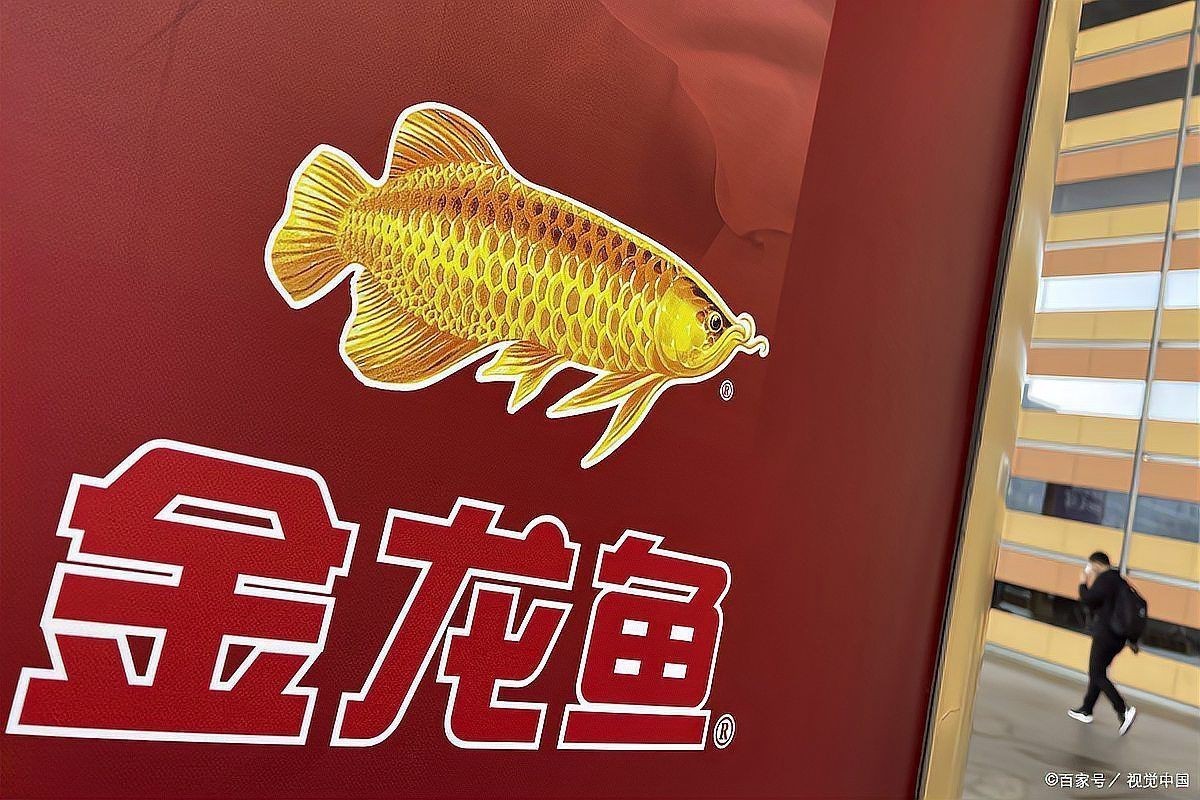 點金龍魚市場價值，金龍魚上市兩年從暴漲到大跌