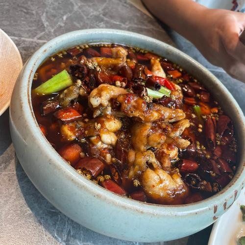錦州龍魚店，與錦州龍魚相關的綜合信息整理