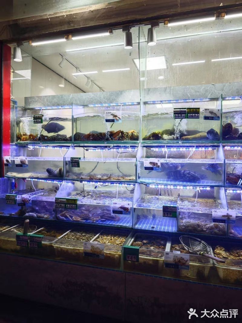 連云港龍魚店，連云港市新浦金龍魚水族館