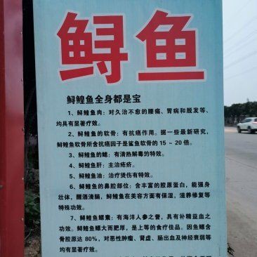 連云港龍魚店，連云港市<strong><mark>新浦</mark></strong>金龍魚水族館