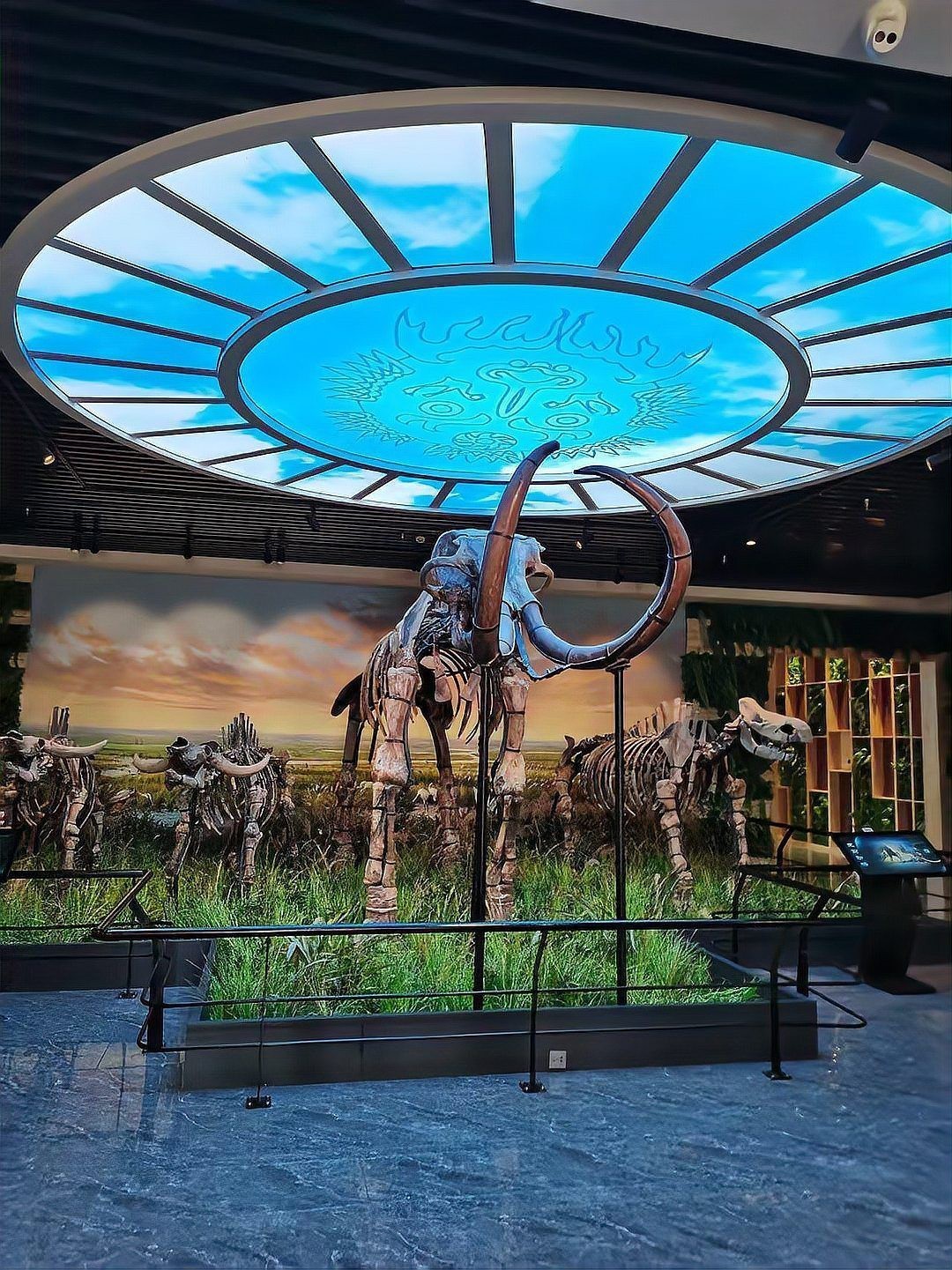 <strong><mark>同江</mark></strong>龍魚店，<strong><mark>同江</mark></strong>的特色魚館