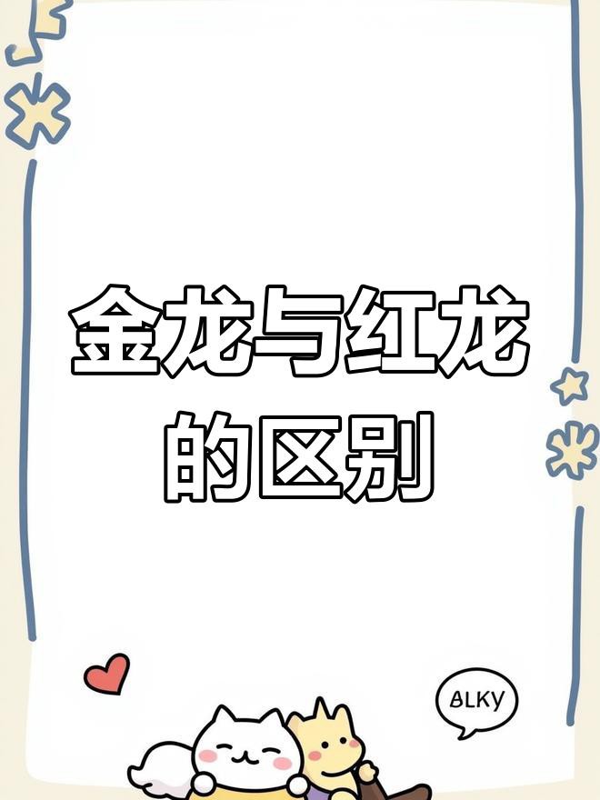 古典金龍和紅龍的區別，古典金龍和紅龍有什么區別