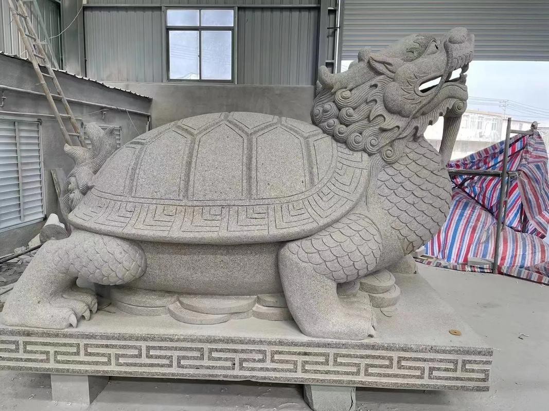 如何搜索高清無水印的龍龜圖片？，如何找到高清無水印的龍龜圖片