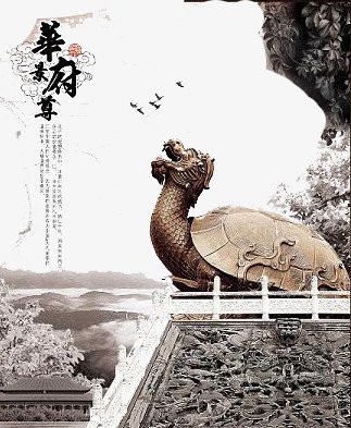 如何搜索高清無水印的龍龜圖片？，如何找到高清無水印的龍龜圖片