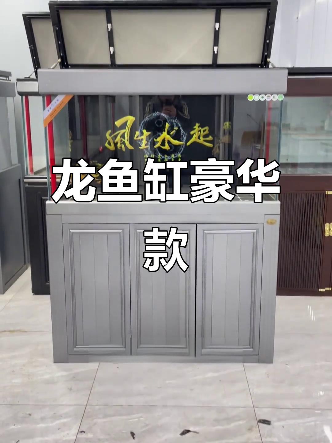 1米2缸養龍魚需要哪些設備，1.2米魚缸養龍魚所需的核心設備及配置建議