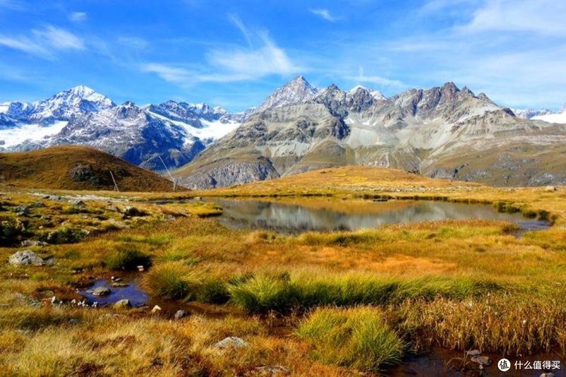 什么人適合養(yǎng)黑色錦鯉，\