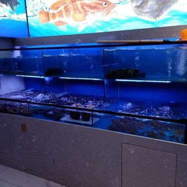 湘西土家族苗族自治州魚缸維護，湘西土家族苗族自治州的魚缸維護 湘西土家族苗族自治州魚缸維護，湘西土家族苗族自治州的魚缸維護 全國水族館企業名錄 第4張