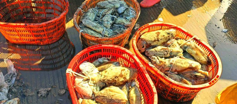 海南藏族自治州水族批發(fā)市場(chǎng)，海南海水觀賞魚(yú)批發(fā)市場(chǎng)