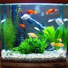 熱帶觀賞魚飼養技巧，《熱帶觀賞魚飼養技巧》