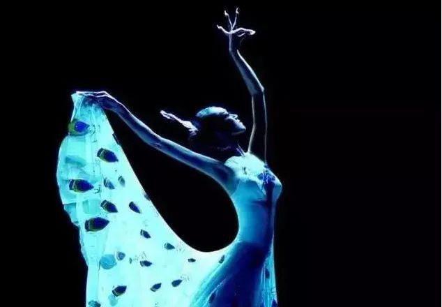 國家二級保護蝴蝶名錄，《國家二級保護蝴蝶名錄》 國家二級保護蝴蝶名錄，《國家二級保護蝴蝶名錄》 全國水族館企業名錄 第9張