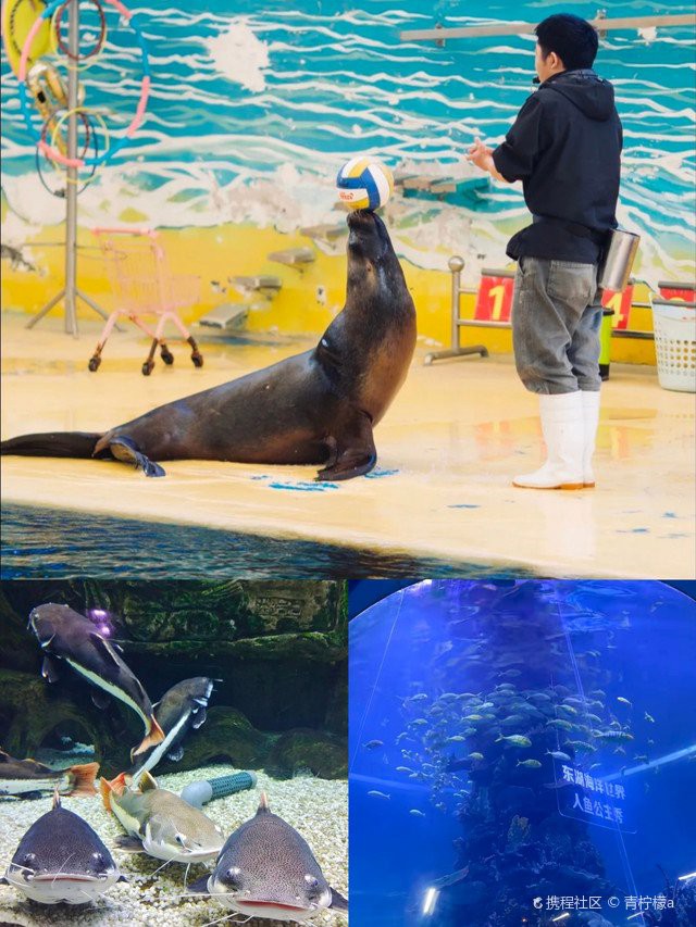 東湖水族店，東湖海洋世界有哪些特色展館