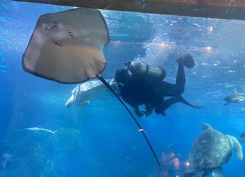 東湖水族店，東湖海洋世界有哪些特色展館