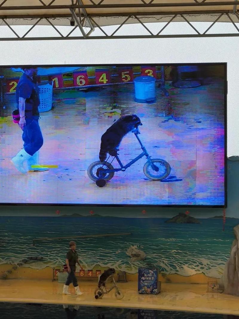 東湖水族店，東湖海洋世界有哪些特色展館
