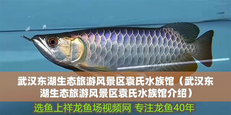 東湖水族店，東湖海洋世界有哪些特色展館