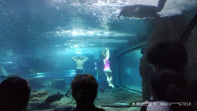 東湖水族店，東湖海洋世界有哪些特色展館