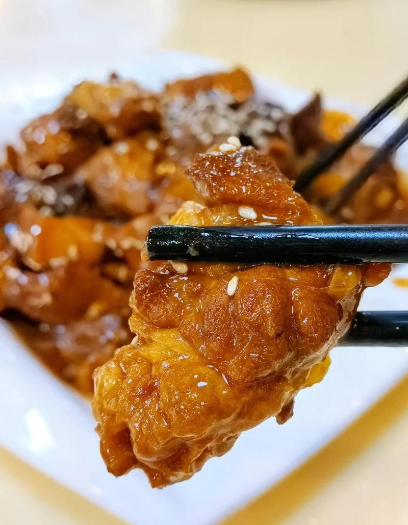 五指山龍魚店，五指山有沒有龍魚店