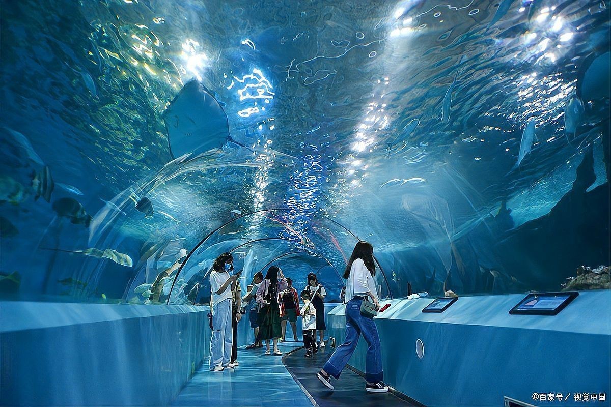 國內(nèi)海洋館十大排名,國內(nèi)海洋館各具特色 全國水族館企業(yè)名錄 第11張 國內(nèi)海洋館十大排名,國內(nèi)海洋館各具特色 國內(nèi)海洋館十大排名,國內(nèi)海洋館各具特色 全國水族館企業(yè)名錄 第11張